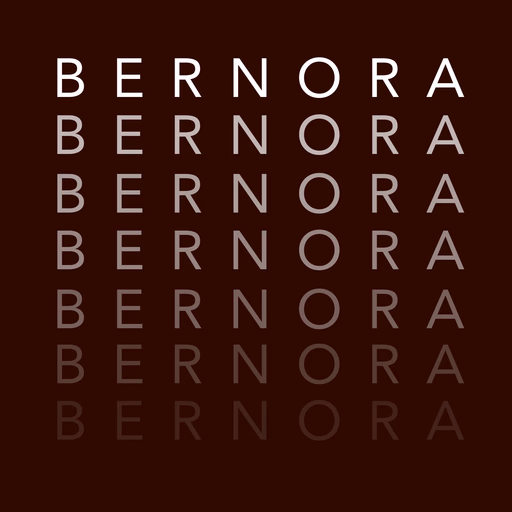 Bernora – Webdesign Projekt von Abinova